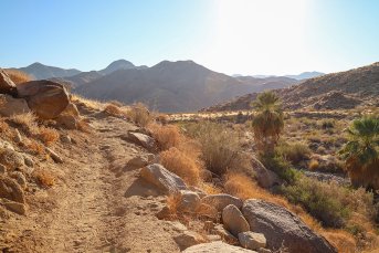 Things to Do in Palm Springs in October (2026)